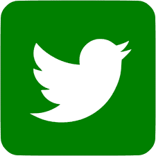 Twitter Logo Green