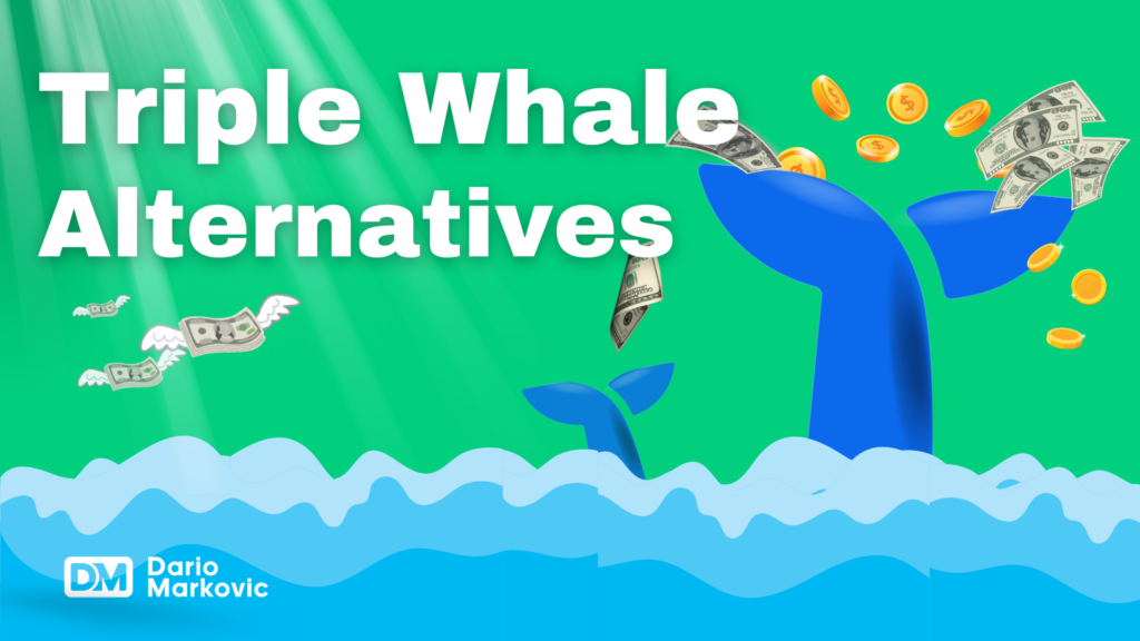 Triple Whale alternatives.