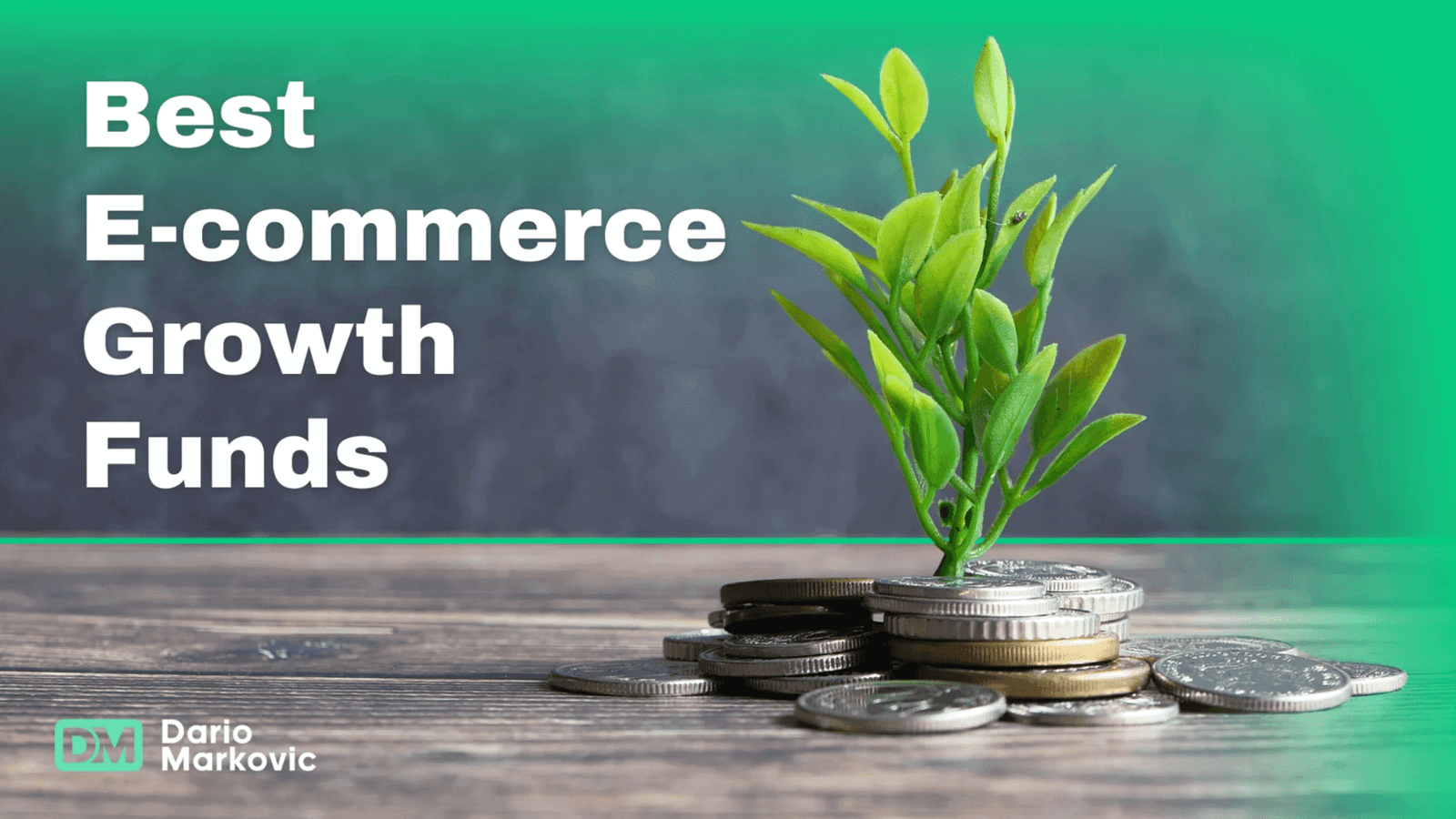 best ecommerce growth funds